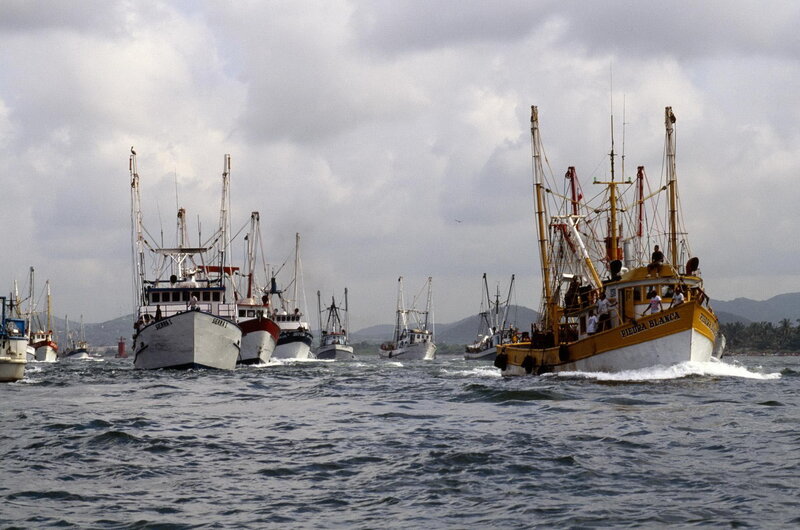 Fishing Boats in Harbor — Blue, Active, Afternoon