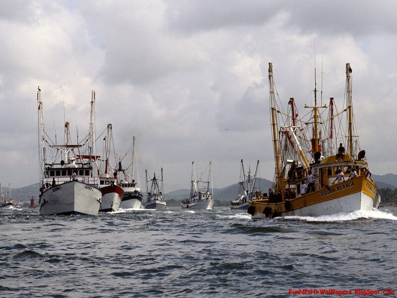 Fishing Boats in Harbor — Blue, Active