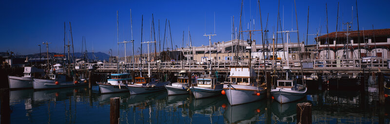 Fishing Boats in Harbor — Blue, Calm, Afternoon, Photograph, Docks