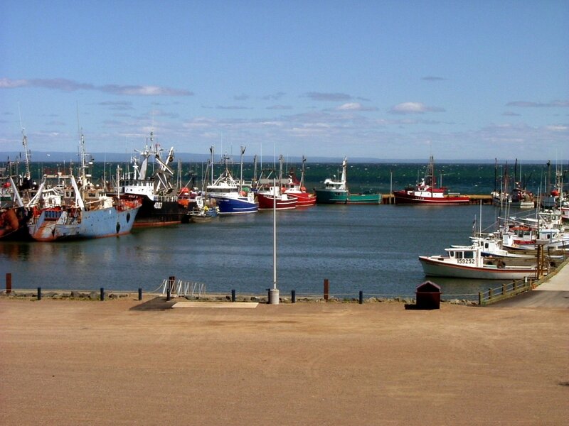 Fishing Boats in Harbor — Blue, Calm, Afternoon, Photograph, Sea, Sky