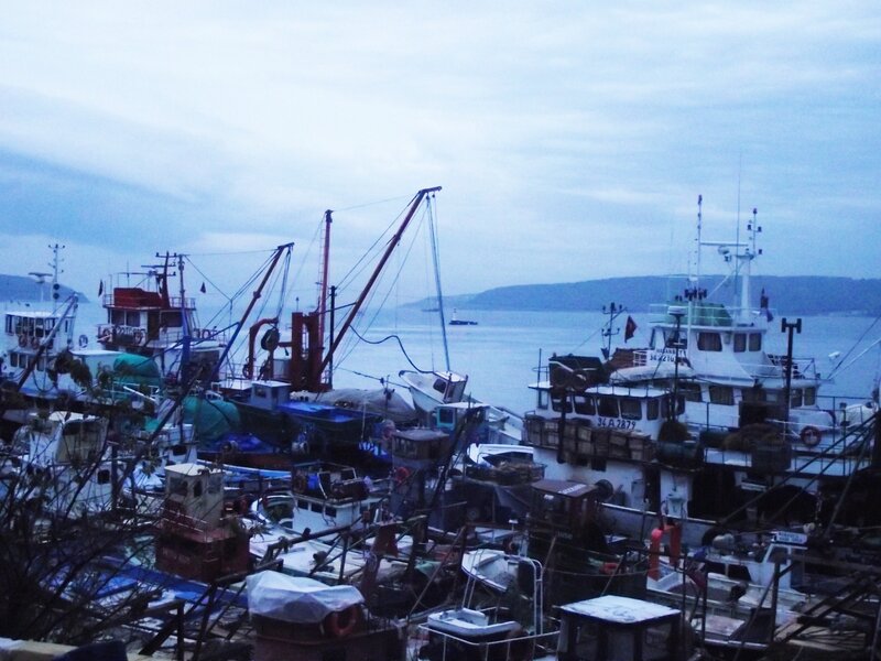 Fishing Boats in Harbor — Blue, Overcast, Photograph, Cranes