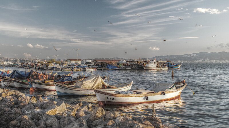 Fishing Boats in Harbor — Blue, Serene, Afternoon, Photograph, Seagulls