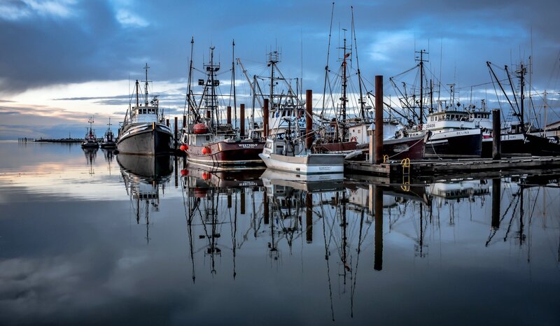 Fishing Boats in Harbor — Blue, Serene, Sunset, Photograph, Docks