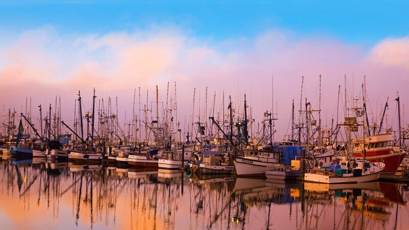 Fishing Boats in Harbor — Blue, Serene, Sunset, Photograph, Masts