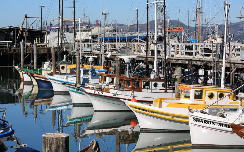 Fishing Boats in Harbor — Blue