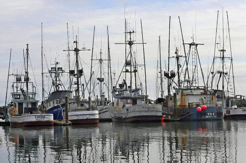 Fishing Boats in Harbor — Gray, Calm