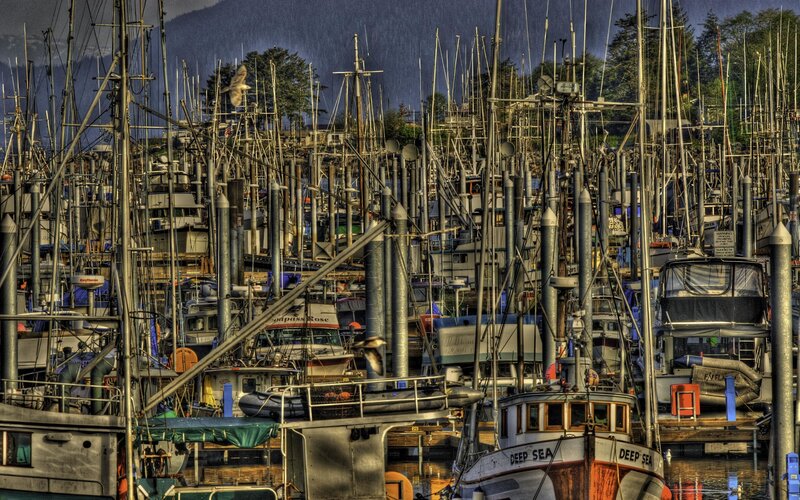 Fishing Boats in Harbor — Gray
