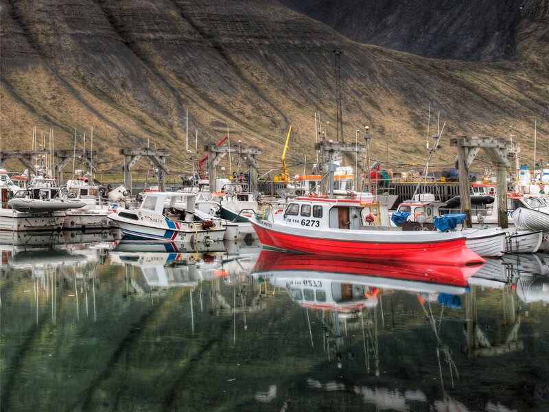 Fishing Boats in Harbor — Red, Calm