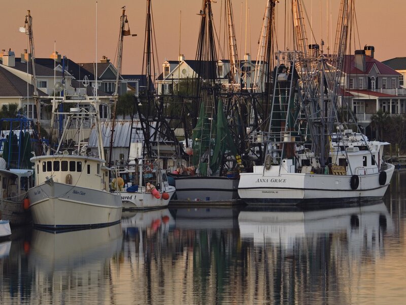 Fishing Boats in Harbor — White