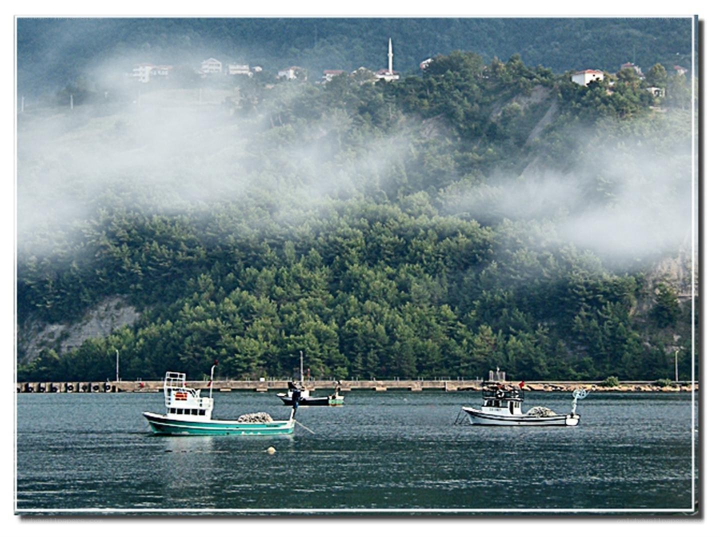 Fishing boats in misty harbor