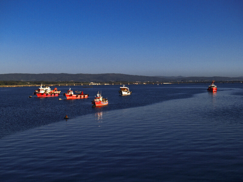 Fishing Boats on Water