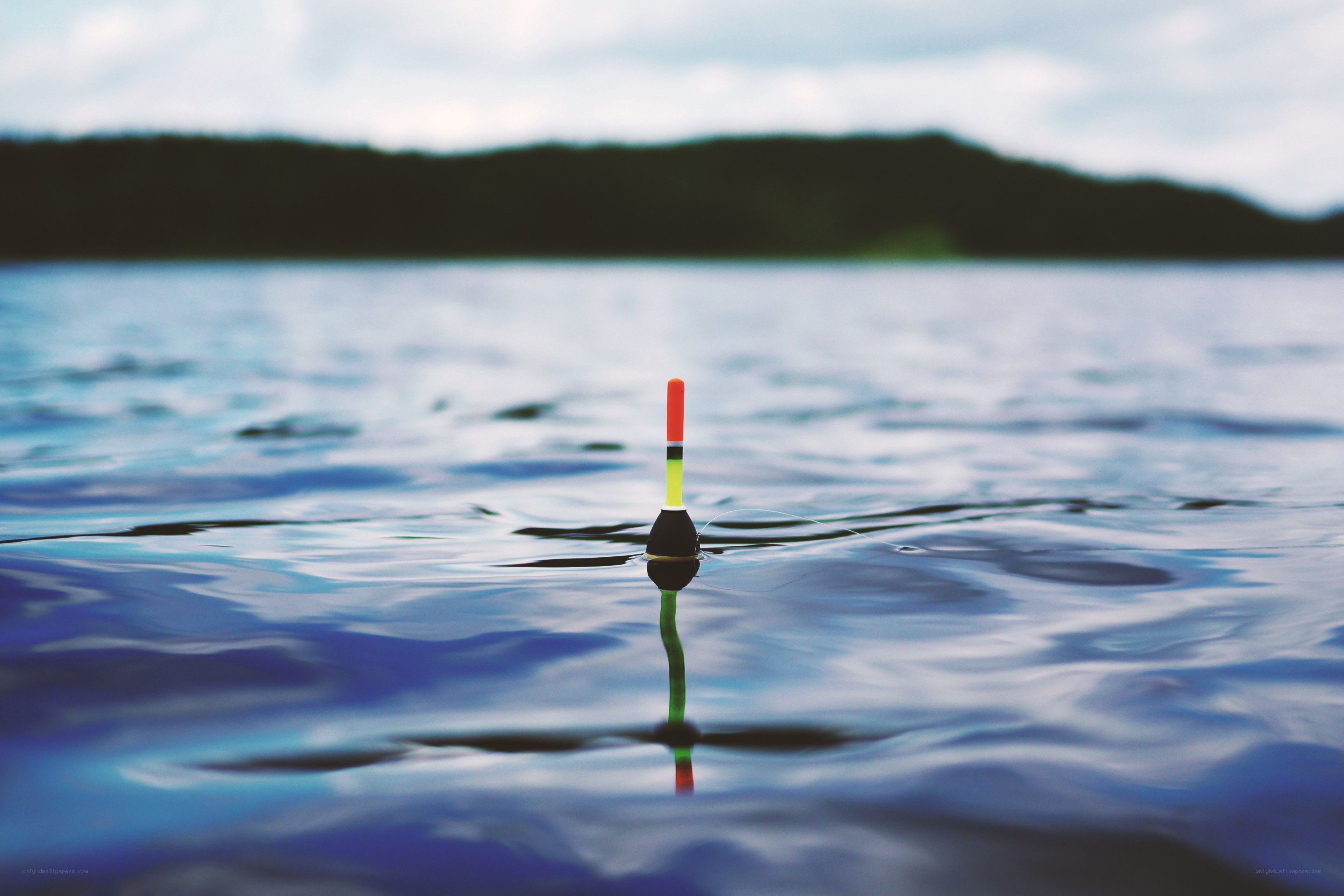 Fishing bobber on calm water