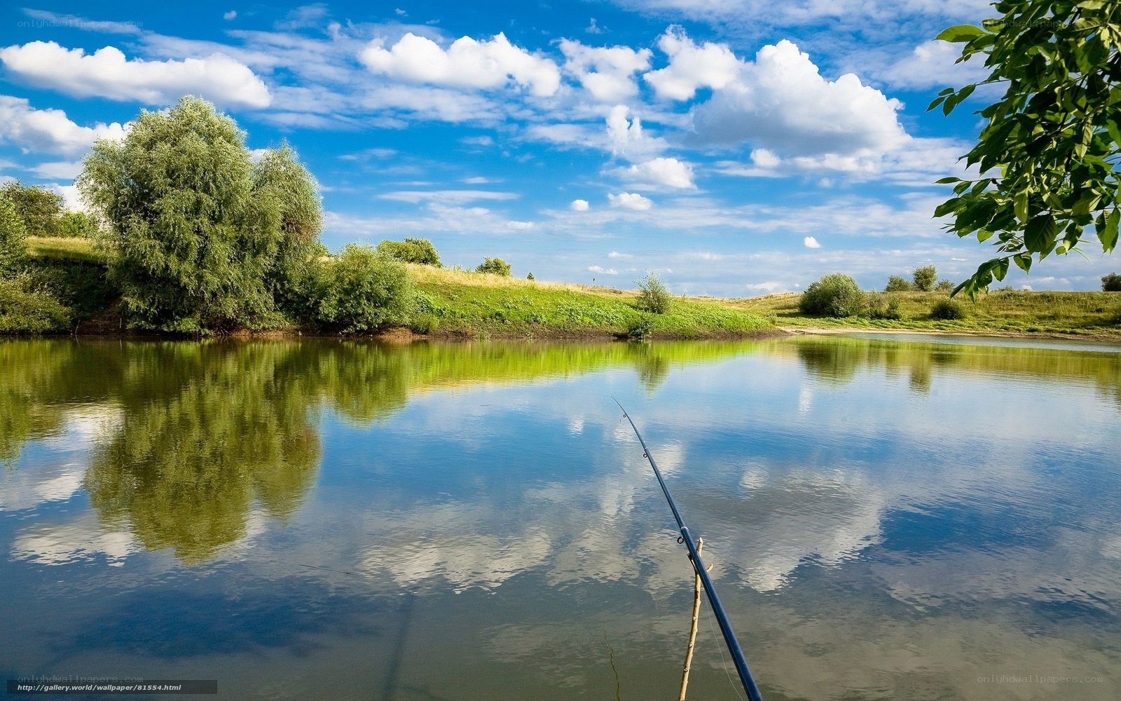 Fishing by a calm lake