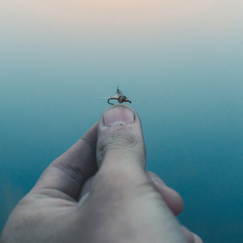 Fishing Fly on Fingertip