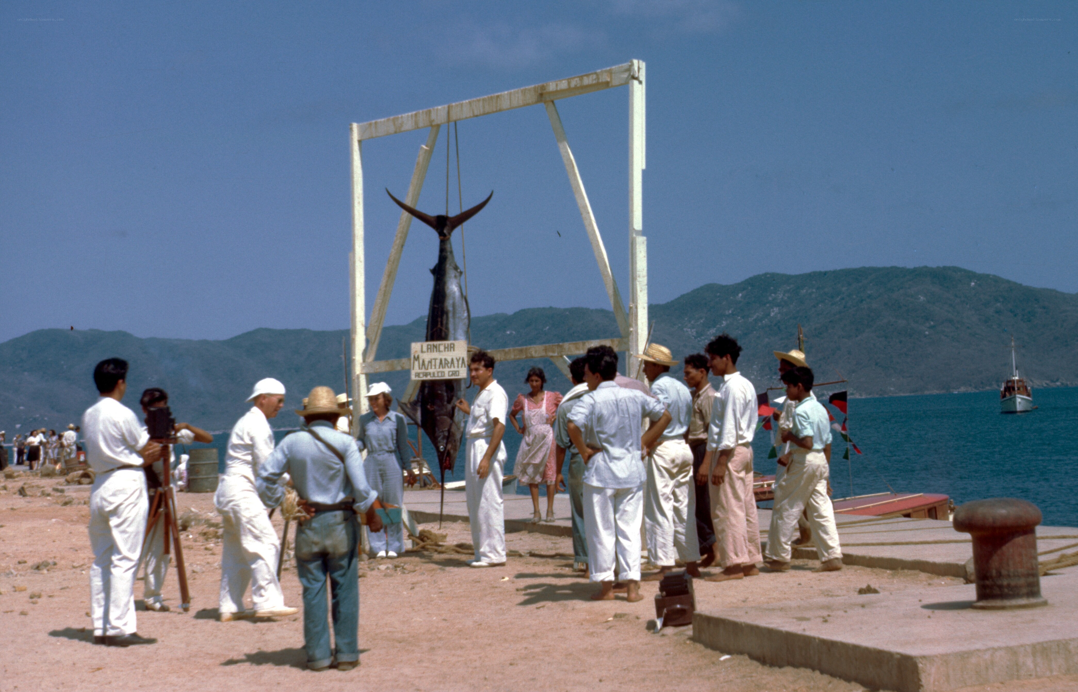 Fishing haul display at dock
