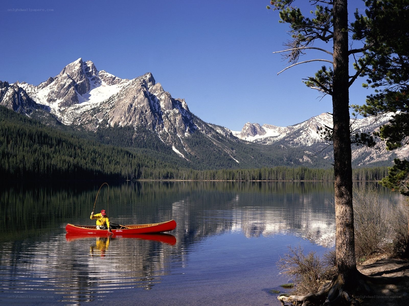 Fishing in a mountain lake