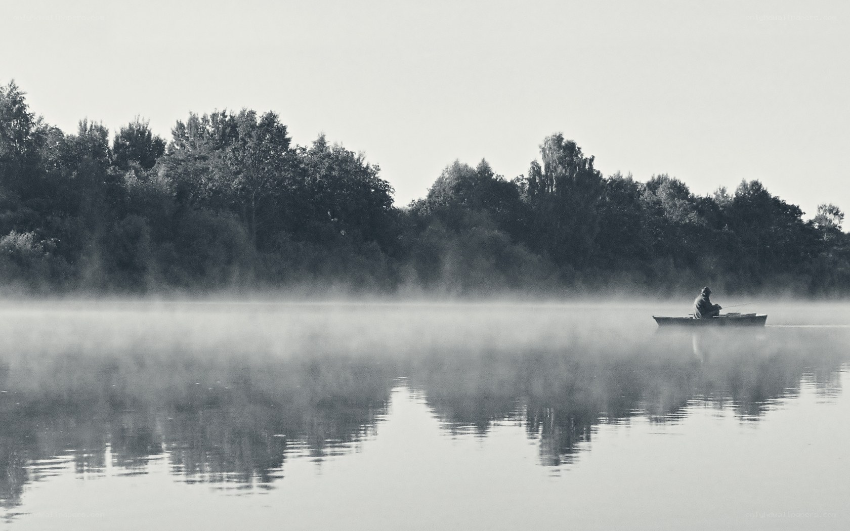 Fishing in morning mist
