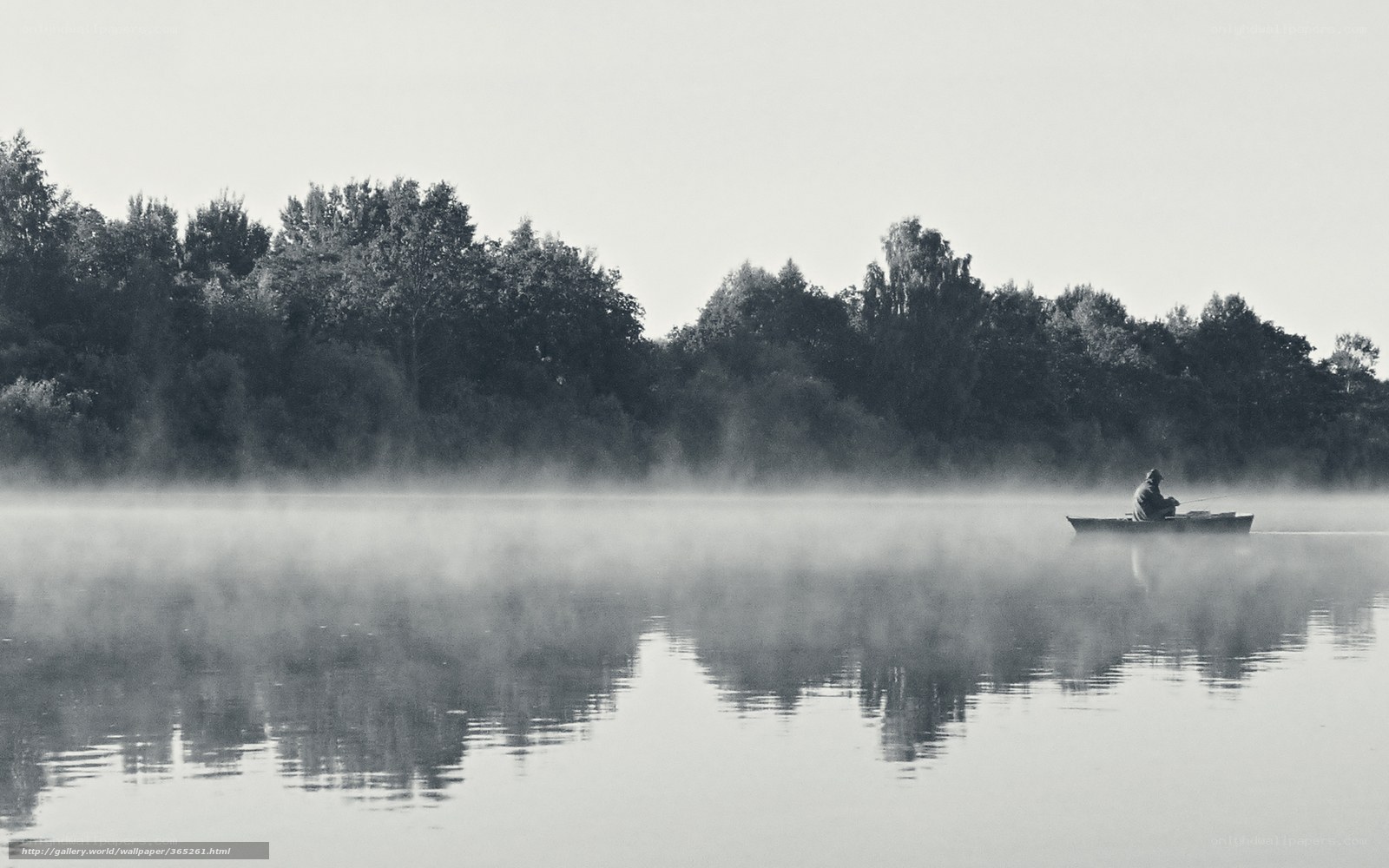 Fishing in the misty morning