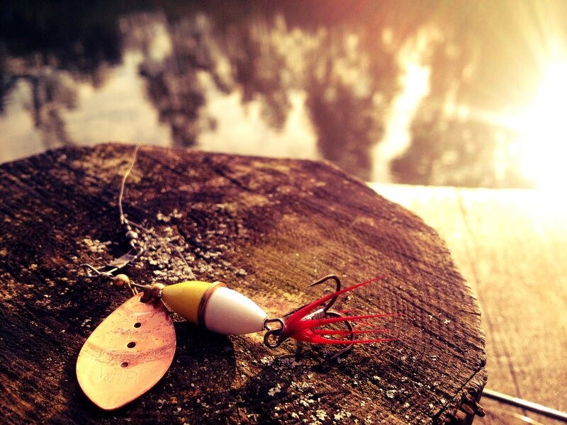 fishing lure on a log