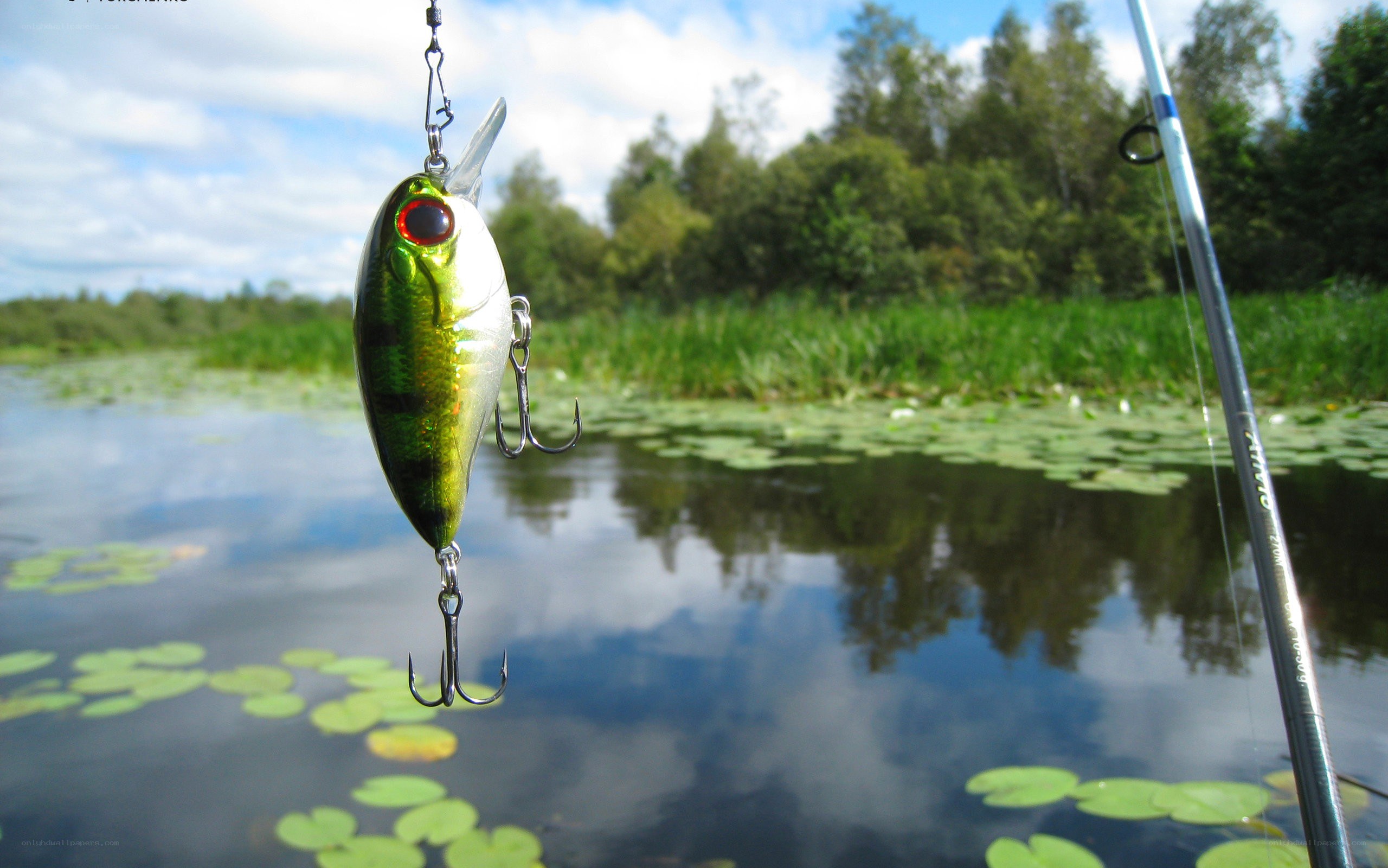 fishing lure over a pond