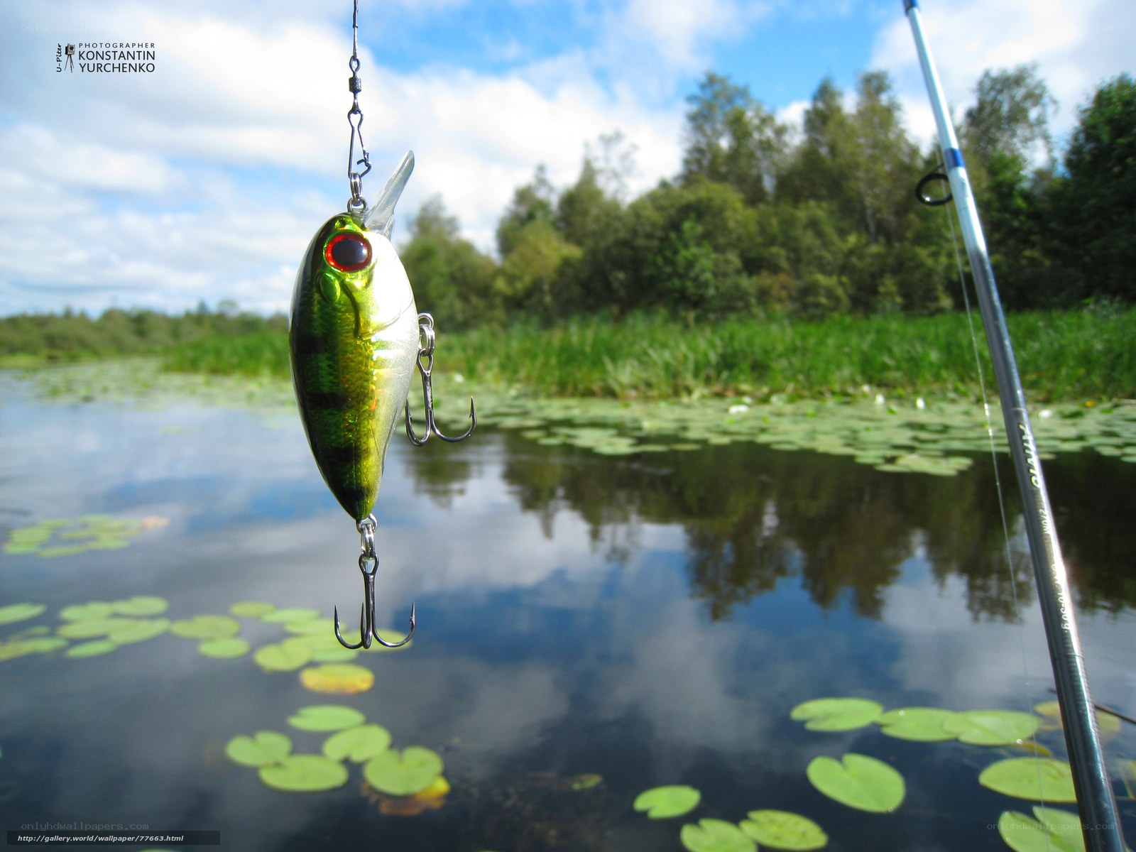 Fishing lure over a pond