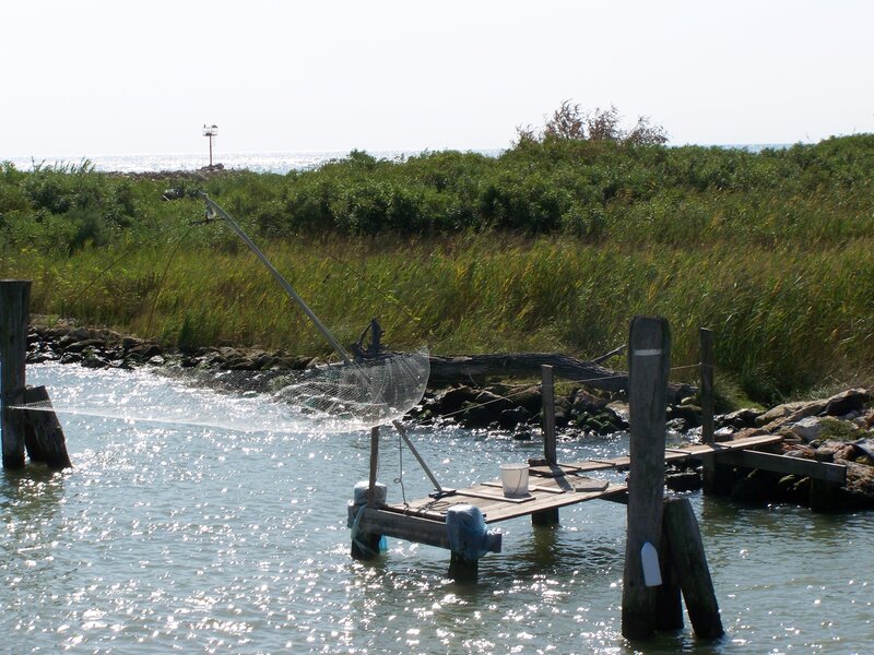 Fishing Net on Dock
