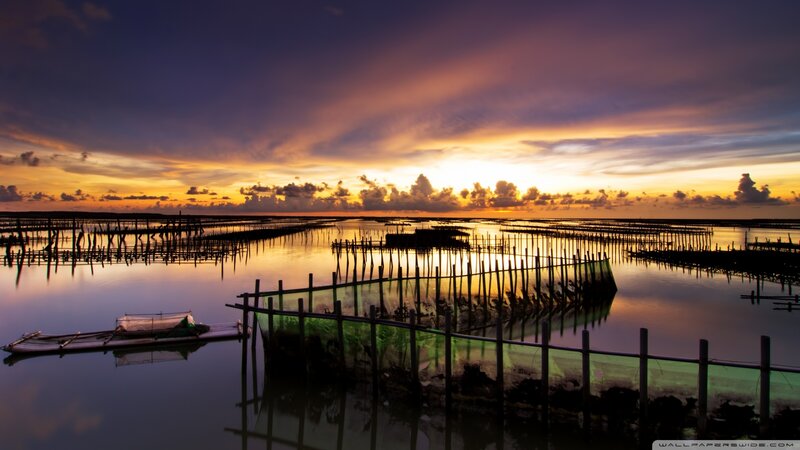 Fishing Nets at Sunset — Purple, Serene, Photograph, Clouds