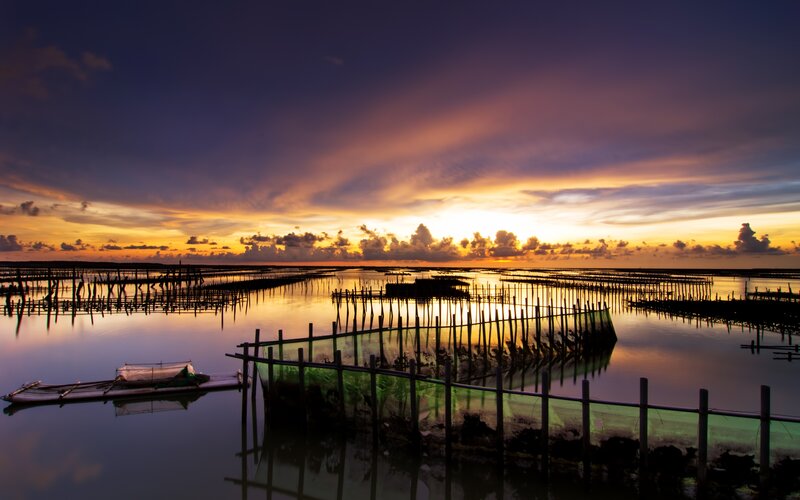 Fishing Nets at Sunset — Purple, Serene, Photograph