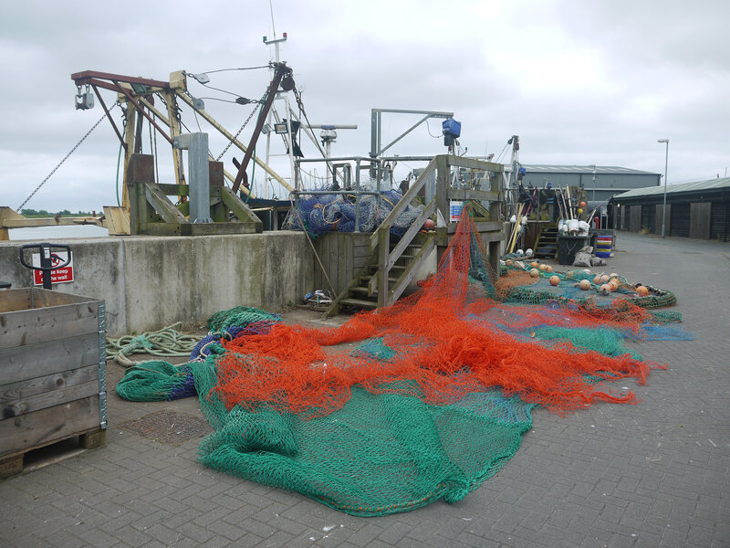 Fishing Nets on Dock