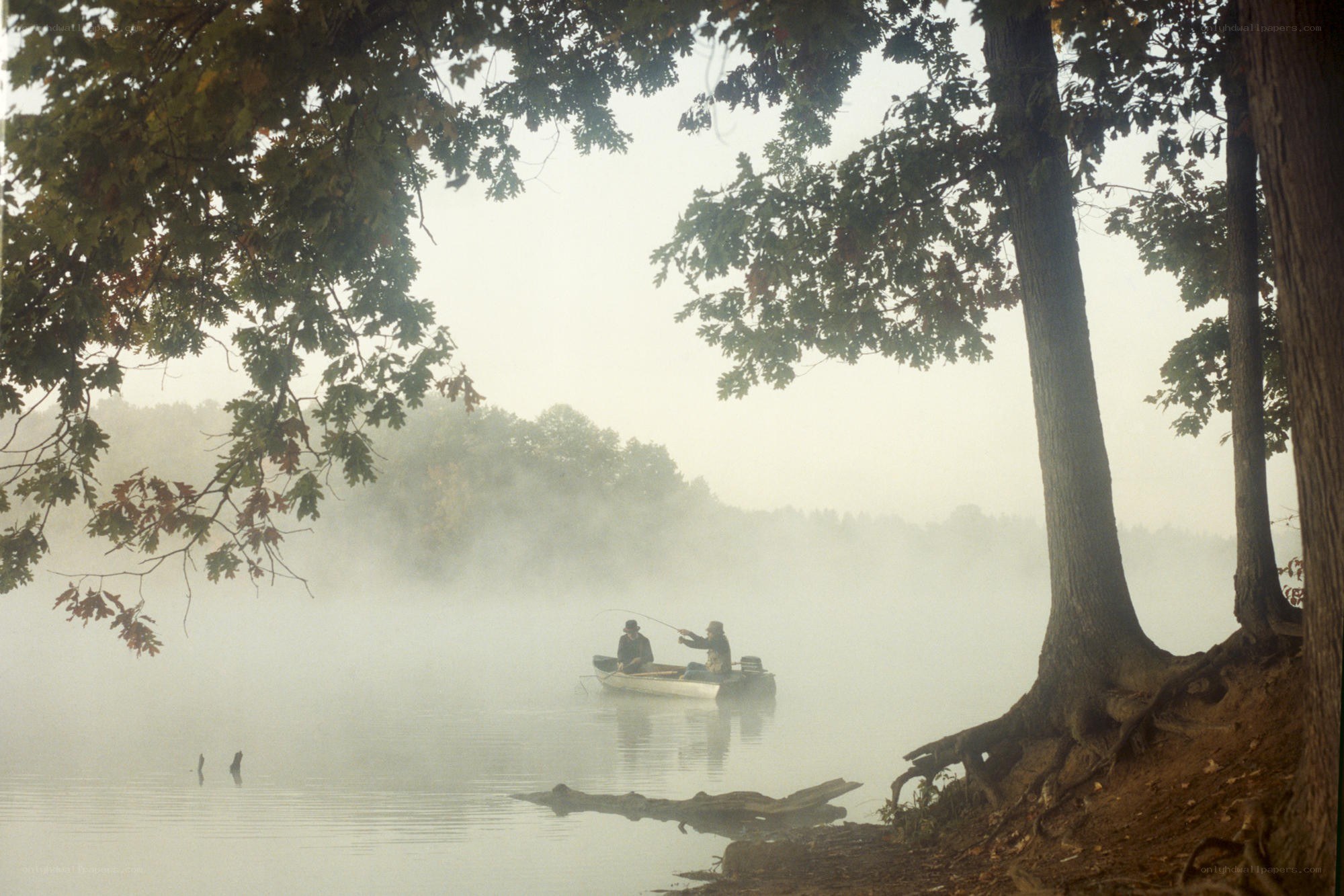 Fishing on a misty lake