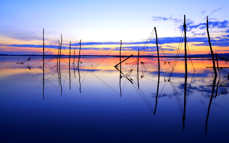 Fishing Poles at Sunset