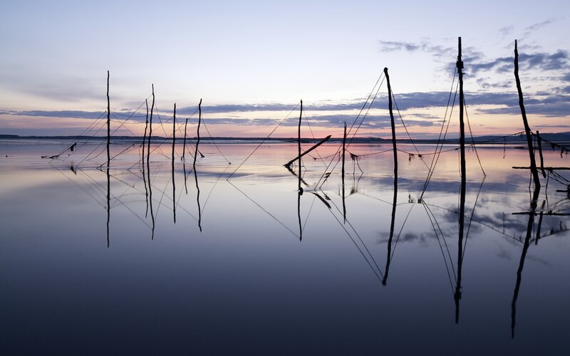 Fishing Poles in Water