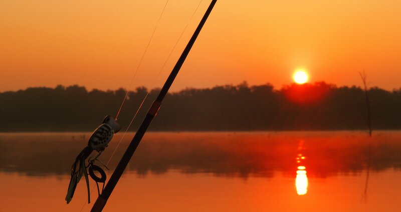 Fishing rod at sunset