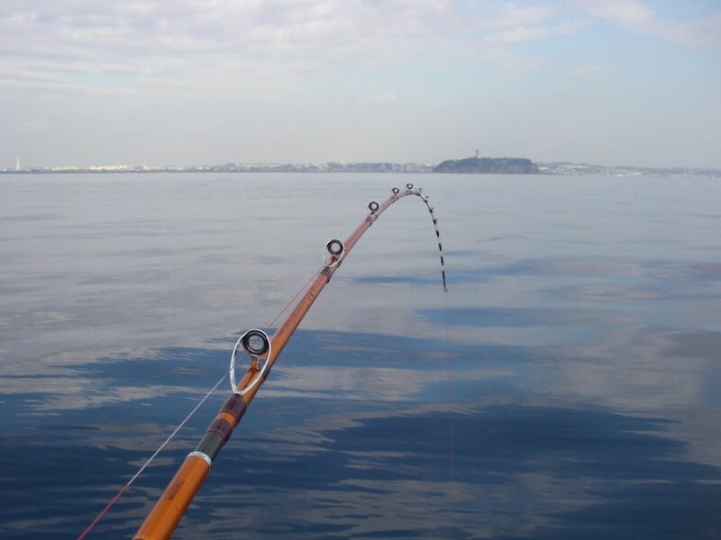 Fishing rod bent over water