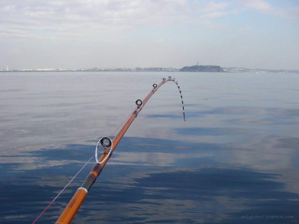 Fishing rod bent over water