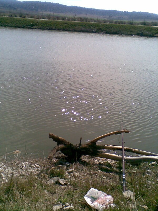 Fishing rod by a pond