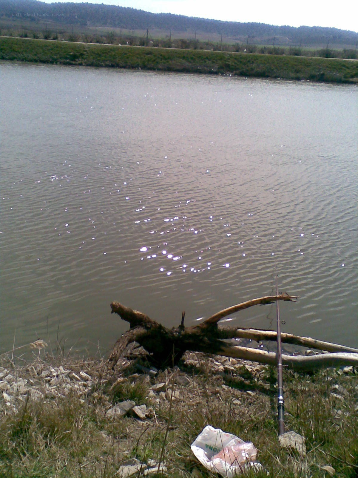 Fishing rod by a pond