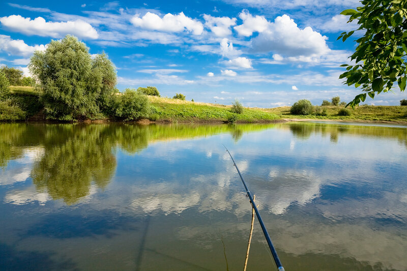 Fishing Rod on a Lake — Blue