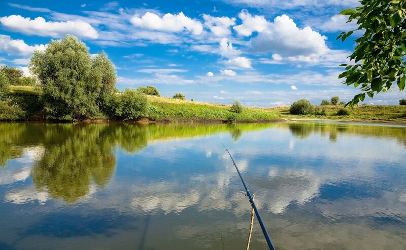 Fishing Rod on a Pond
