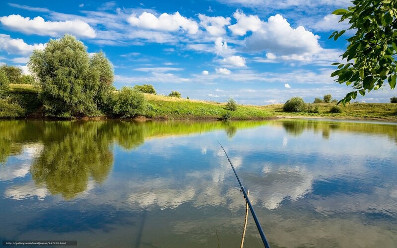 Fishing Rod on Lake — Blue, Serene