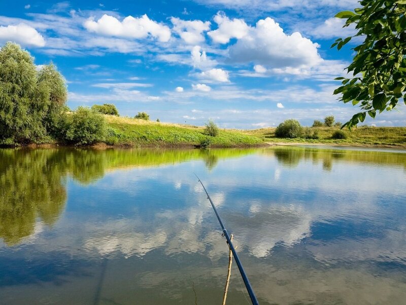 Fishing Rod on Lake