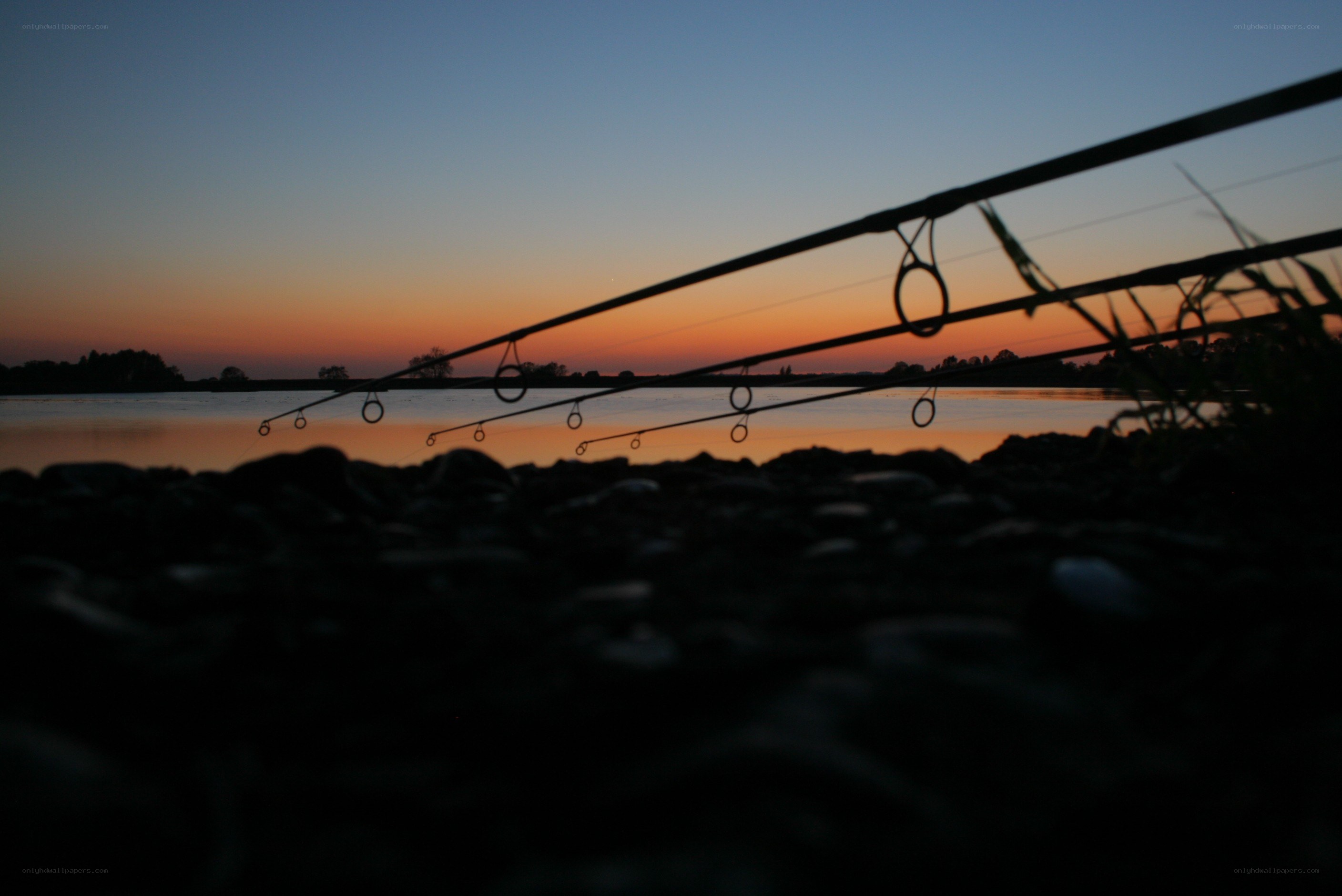 Fishing rods at sunset