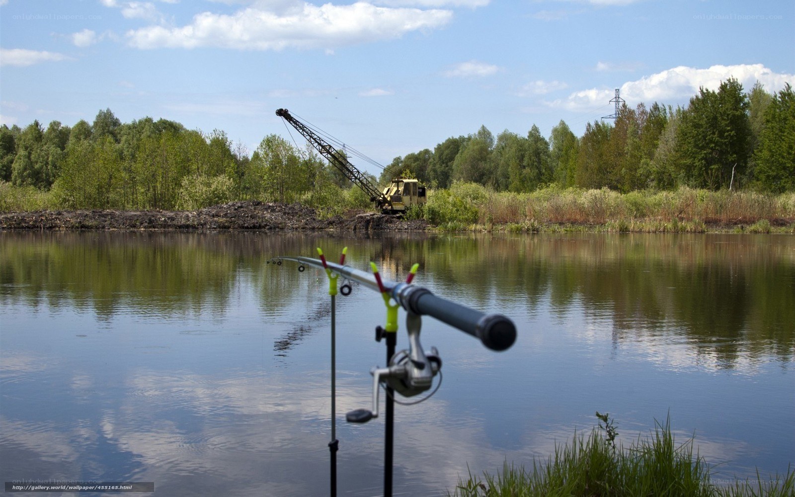 Fishing rods by a lake