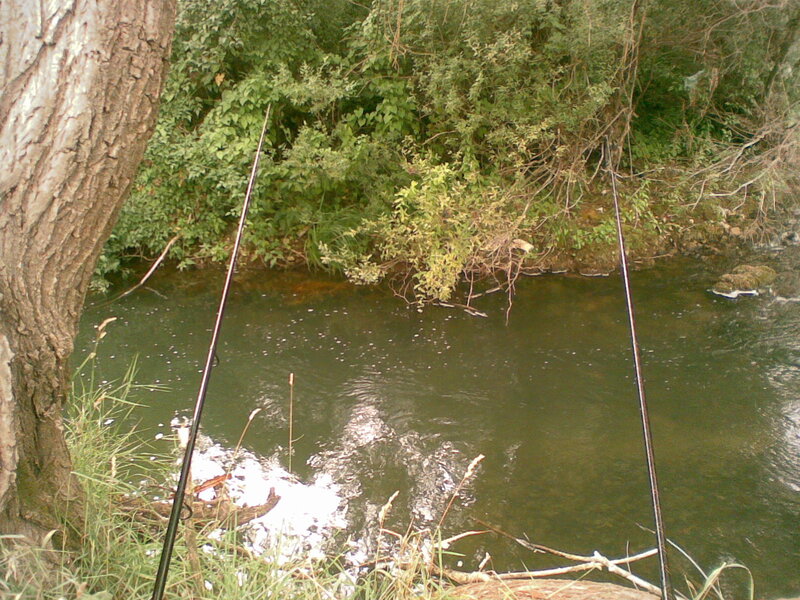 Fishing Rods in River