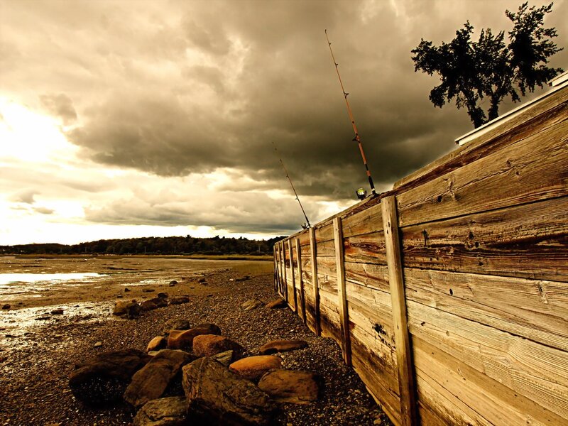 Fishing rods on a stormy shore
