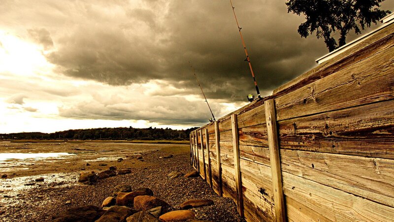 Fishing rods on a wooden wall