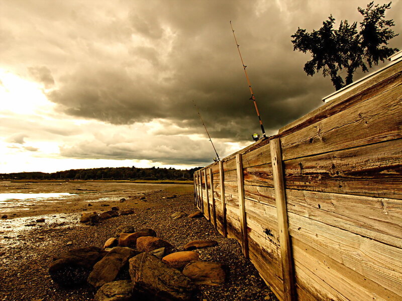 Fishing rods on a wooden wall