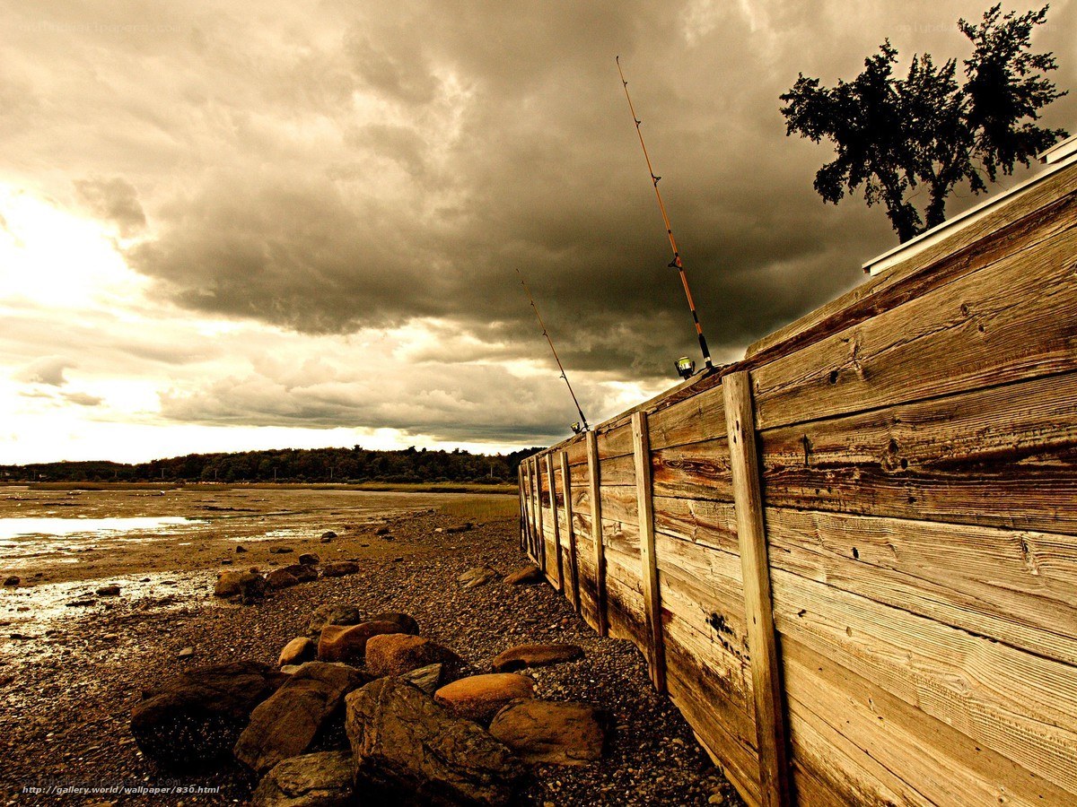 Fishing Rods on a Wooden Wall
