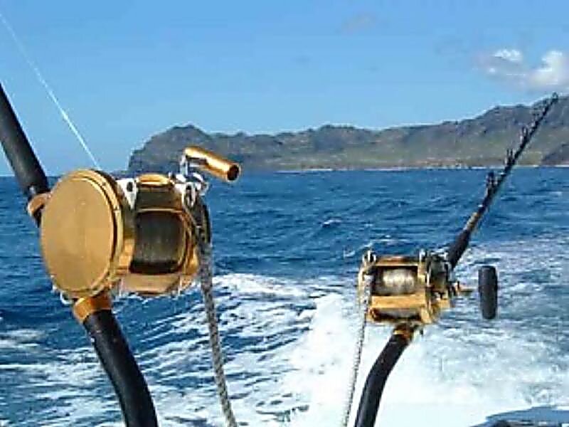 Fishing Rods on Boat — Blue