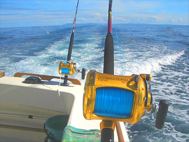 Fishing Rods on Boat